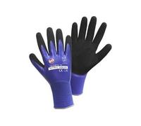 L+D Nitril Aqua 1169-XL Nylon Gants de travail Taille: 10, XL EN 388:2016 CAT II