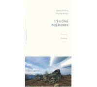 L’Énigme Des Ruines - Steve-Wilifrid Mounguengui - La Kainfristanaise - broché - Poésie