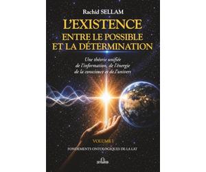 L’existence entre le possible et la détermination: Mise à jour, information et structure de la réalité