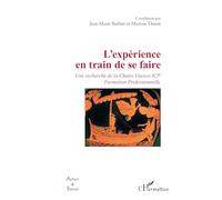 L’expérience en train de se faire: Une recherche de la Chaire Unesco ICP Formation Professionnelle