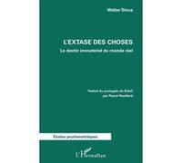 L’extase des choses Le destin immatériel du monde réel - Walter Trinca - L'harmattan - broché - Etude