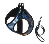 L Harnais pour petit chien Chicago Illinois Usa Imprimé Gilet de promenade | Boucle de sécurité confortable pour chat avec boucle de sécurité pour chien