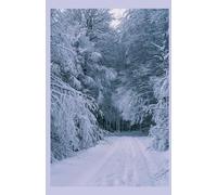 L' ICEBERG, SEUL TEMOIN DE NOTRE AMOUR: Sur la banquise, j'ai gravé nos prénoms