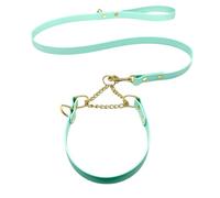 L&J Pets UK Martingale Ensemble collier et laisse pour chien | Imperméable et anti-odeurs | Sangle en bioThane | Chaîne en laiton massif | Fabriqué au Royaume-Uni (menthe, XL)