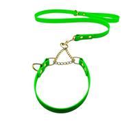 L&J Pets UK Martingale Ensemble collier et laisse pour chien | Imperméable et anti-odeurs | Sangle en bioThane | Chaîne en laiton massif | Fabriqué au Royaume-Uni (vert, XL)
