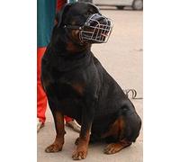 L&J Pets Uk Muselière pour Chien Champion pour Races de Type Rottweiler, Mastiff R1
