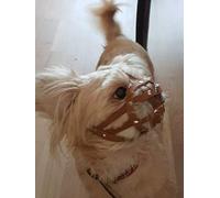 L&J Pets Uk Muselière pour chien Shih Tzu, carlin et autres chiens à museau court à visage plat