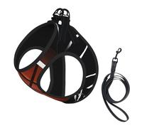 L Laisse Gilet Harnais pour Chien - Ensemble Laisse Réfléchissante pour Chien Imprimé Basketball Petite Taille pour Extérieur et Promenade Chien