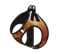 L Laisse Gilet Harnais pour Chien - Ensemble Laisse Réfléchissante pour Chien - Imprimé Lion Africain et Lionne - pour l'extérieur et la promenade du chien