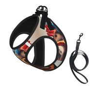 L Laisse Gilet Harnais pour Chien - Petite Taille - Anatomie Humaine Imprimé Graphique Coeur Ensemble Laisse Réfléchissante pour Extérieur et Promenade Chien
