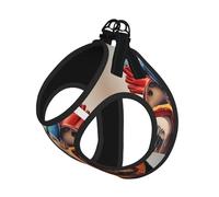 L Laisse Gilet Harnais pour Chien - Petite Taille - Anatomie Humaine Imprimé Graphique Coeur Ensemble Laisse Réfléchissante pour Extérieur et Promenade Chien