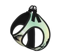 L Laisse Gilet Harnais pour Chien - Petite Taille Couple Marié Marchant sur la Plage Imprimé Laisse Réfléchissante pour Extérieur et Chien