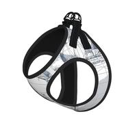 L Laisse Gilet Harnais pour Chien - Petite Taille Imprimé Carte Bateau Ensemble Laisse Réfléchissante pour Extérieur et Chien Promenade