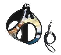 L Laisse Gilet Harnais pour Chien - Petite Taille Imprimé Cinque Terre Paysage Ensemble Laisse Réfléchissante pour Extérieur et Promenade Chien