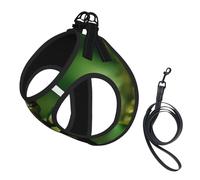L Laisse Gilet Harnais pour Chien - Petite Taille Imprimé Grenouille Arbre Ensemble Laisse Réfléchissante pour Extérieur et Chien Promenade