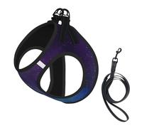L Laisse gilet pour chien - Univers de petite taille avec étoiles et galaxie imprimé interstellaire Ensemble laisse réfléchissante pour l'extérieur et la promenade du chien