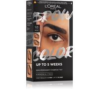 L’Oréal Paris Brow Color teinture sourcils teinte 1.0 Black 1 pcs