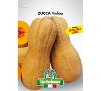 L’Ortolano Semences horticoles de qualité dans paquet thermoscellé (160 variétés)