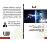 L’outil Informatique au service de l'Audit: Guide pratique des Techniques d'Audit Assistées par Ordinateur (TAAO) dans le secteur Public