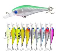 L PATTERN Lot de 10 leurres de pêche Leurres de pêche Crankbait Brochet Leurres de pêche Minnow Eau douce Eau salée Cadeau pour truite, perche, saumon, D Set