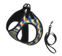 L Pet Harnais pour chien - Petite taille, illusion d'optique en spirale, réglable, pour les voyages en plein air et la marche