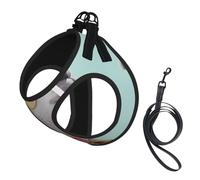 L Pet Laisse gilet et harnais pour chien - Ensemble de laisse imprimé lama amusant de petite taille, réfléchissant, réglable pour chats et chiens