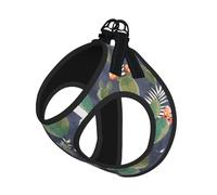 L Pet Laisse gilet et harnais pour chien - Ensemble laisse de petite taille imprimé cactus aquarelle réfléchissant, réglable pour chats et chiens