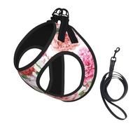 L Pet Laisse Gilet & Harnais pour Chien - Ensemble de laisse de jardin de petite taille imprimé pivoine avec boucle, compagnon canin de voyage en plein air
