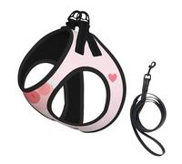 L Pet Laisse Gilet Harnais pour Chien - Ensemble de laisse de petite taille, motif dessin animé cochon volant chiot maille respirante pour compagnons canins
