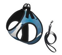 L Pet Laisse Gilet & Harnais pour Chien - Ensemble de Laisse Imprimé Avions de Petite Taille avec Boucle, Compagnon Canin Voyage en Plein Air