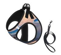 L Pet Laisse Gilet Harnais pour Chien - Petite Taille Belle Imprimé Avion Ciel Ensemble de Laisse avec Boucle, Compagnon Canin Outdoor Chien Promenade