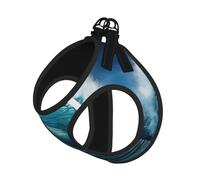 L Pet Laisse Gilet Harnais pour Chien - Petite Taille Belle Vagues de l'Océan Imprimée Laisse Ensemble avec Boucle, Compagnon Canin Outdoor Chien Promenade