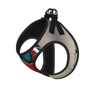 L Pet Laisse Gilet Harnais pour Chien - Petite Taille Imprimé Amour et Musique Treble Ensemble Laisse avec Boucle, Compagnon Canin Outdoor Chien Promenade