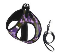 L Pet Laisse Gilet Harnais pour Chien - Petite Taille Imprimé Fleur de Lavande S Laisse Set avec Boucle, Compagnon Canin Outdoor Chien Promenade