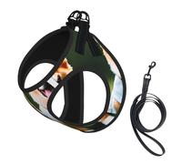 L Pet Laisse Gilet Harnais pour Chien - Vêtements de Petite Taille Porter Vêtements Corgi Chiens Imprimé Laisse Ensemble avec Boucle, Compagnon Canin Outdoor Dog Promenade