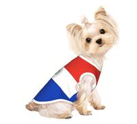 L Pet T-shirt respirant sans manches pour chats et chiens - Débardeur léger imprimé drapeau du Paraguay avec élastique