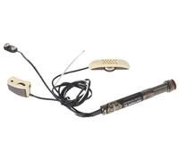 L.R. Baggs Anthem-SL