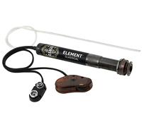 L.R. Baggs EAS-C