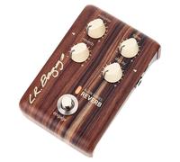 L.R.Baggs L.R.Baggs Align Reverb Effektpedal