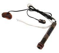 L.R.Baggs L.R.Baggs EAS SS Set