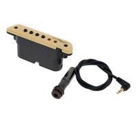 L.R.Baggs L.R.Baggs M1 Activ Soundhole Pickup