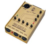 L.R.Baggs L.R.Baggs Para DI Gold Edition