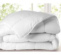 L22G Couette 220x240 cm - 300 g/m² - Confort Moelleux - Respirante - Idéale pour l'été et la Mi-Saison