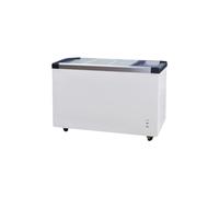L2G - Congélateur Bahut Professionnel, 445L, Portes Coulissantes, -18°C/-22°C, Stockage Grande Capacité, Idéal pour Aliments Surgelés