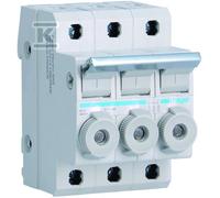 L95300 Porte-fusible 3P cylindrique 10X38MM