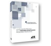 La Aplicación Práctica De La Segunda Oportunidad:Problemas Y Respuestas - [Livre en VO] Puigcerver Asor, Carlos Domenech, Federico Adan (Auteur)