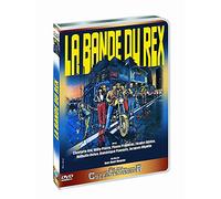 La bande du Rex https://www.fnac.com/a2631424/La-bande-du-Rex-Charlotte-Kid-DVD-Zone-2?oref=a8418f8c-20e8-cc04-d602-6ac7f6ac6116