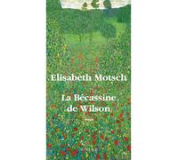 La bécassine de Wilson - Elisabeth Motsch - Actes sud - broché - Roman