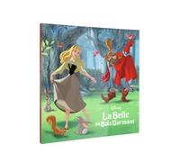 La Belle Au Bois Dormant - L'histoire Du Film