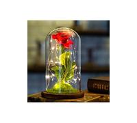 La belle et la Bête Enchanted Rose Light, Rose en Soie et lumière LED en dôme en Verre sur Une Base en Bois, Beauty and The Beast Rose Kit Cadeaux